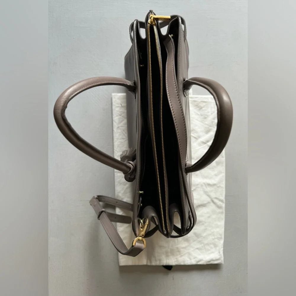 Cuyana Work Satchel in Clay Smooth Leather
